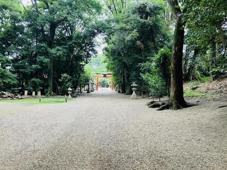廣瀬大社 参道 廣瀬大社 参道の写真