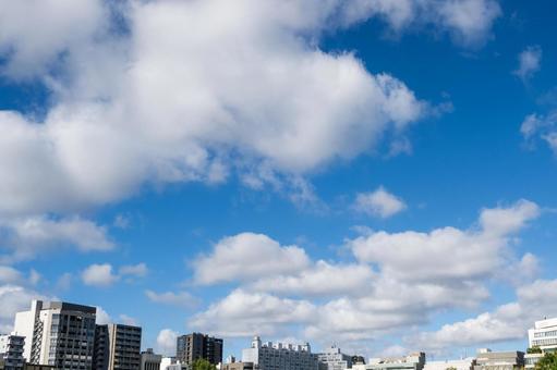 ビルと夏の青空1 ビルと夏の青空1の写真