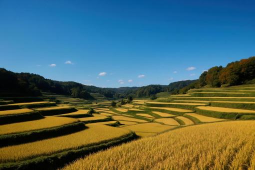 青空と棚田が織りなす秋の風景 青空と棚田が織りなす秋の風景の写真