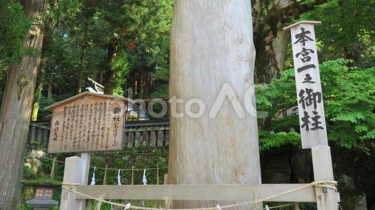 諏訪大社　上社　本宮　一之御柱 諏訪大社,上社,本宮の写真素材