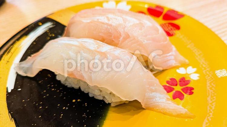 ヒラメの塩締めのにぎり寿司 寿司,ヒラメ,塩締めの写真素材