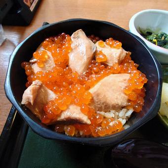 はらこ飯 はらこ飯 はらこ飯,鮭,イクラの写真素材