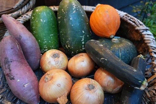 カゴに入った野菜 カゴに入った野菜 カボチャ,野菜,かぼちゃの写真素材