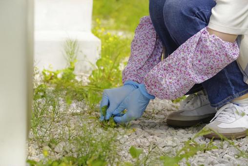 庭の草取りをする女性 庭の草取りをする女性 草むしり,除草,草取りの写真素材