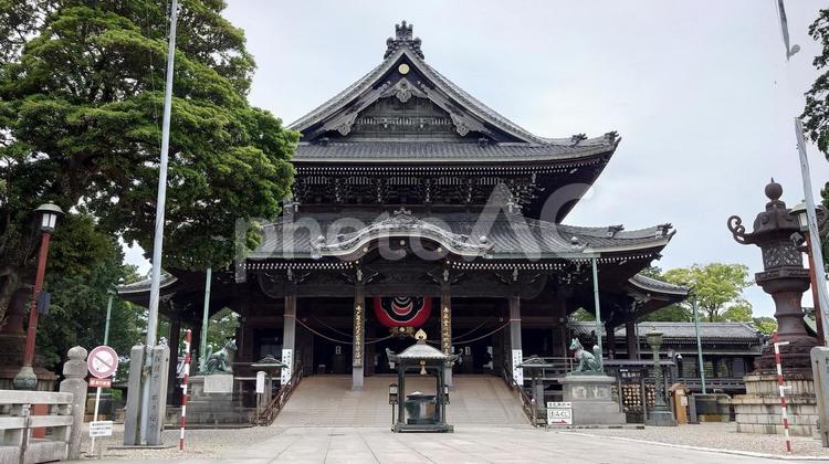 愛知県-妙厳寺-本殿 妙厳寺,寺,円福山の写真素材