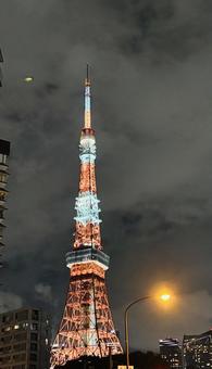 ホワイトカラーの東京タワー ホワイトカラーの東京タワー 東京タワー,夏カラー,ホワイトカラーの写真素材