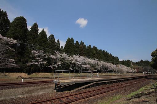 大畑駅 大畑駅 さくら,風景,空の写真素材