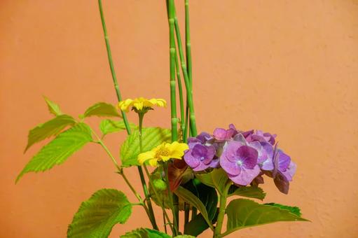 黄色と紫が彩るフラワーアレンジメント 黄色と紫が彩るフラワーアレンジメント アジサイ,花,花びらの写真素材
