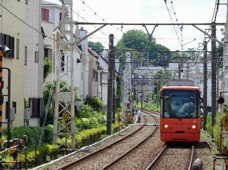 都電荒川線 都電荒川線の写真