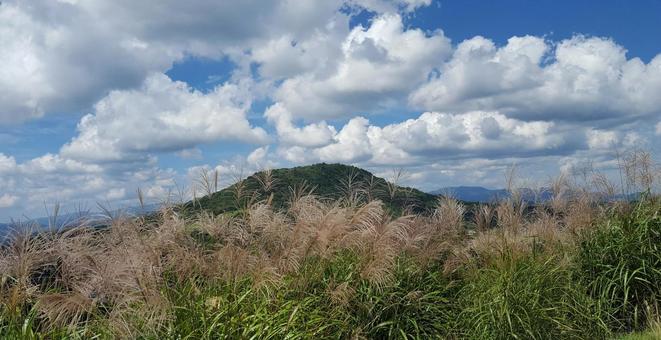 すすき すすき 秋,景色,山の写真素材