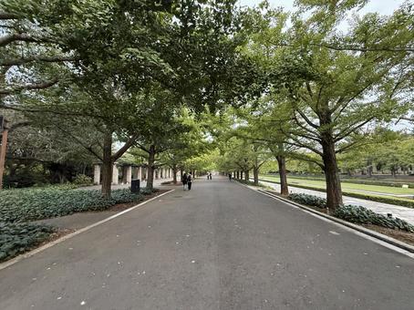 ゆっくりとした時間が流れる郊外の遊歩道 景色,自然,郊外の写真素材