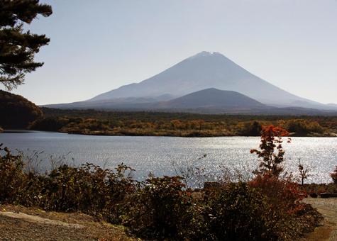 薄い霧にかすむ霊峰富士 風景,紅葉,富士山の写真素材