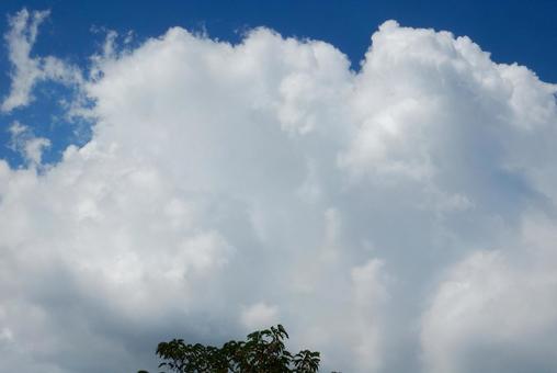 【風景写真】夏空 【風景写真】夏空の写真