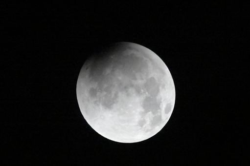今朝早朝の皆既月食 1 今朝早朝の皆既月食 1 皆既月食,約3年ぶり,自然の写真素材