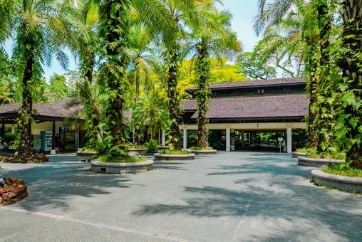 【シンガポール】植物園オーキッドガーデン オーキッドガーデン,ナショナル,国立の写真素材