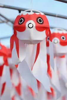 金魚ちょうちん祭り 金魚ちょうちん祭りの写真