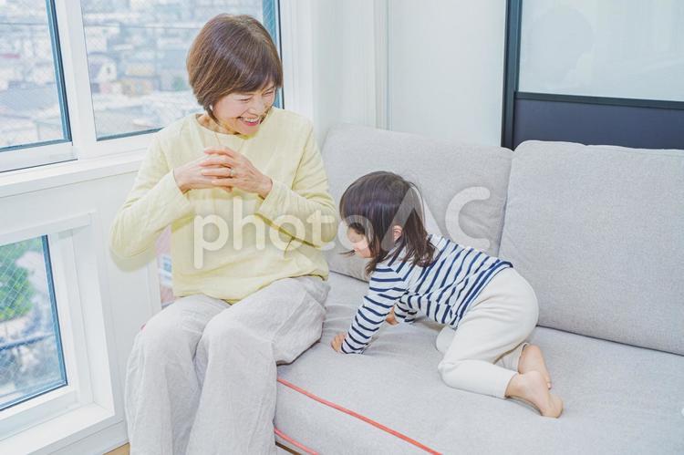 ソファーでおばあちゃんと遊ぶ孫娘 女性,シニア,シニア女性の写真素材