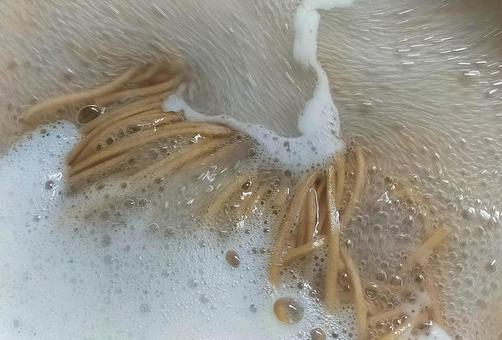 そば 茹でる 沸騰中 そば 茹でる 沸騰中 そば,蕎麦,茹でるの写真素材