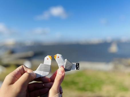 蕪嶋神社　おみくじ 男性,日本人,青森の写真素材