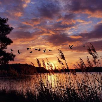 穏やかな湖の夕景の写真