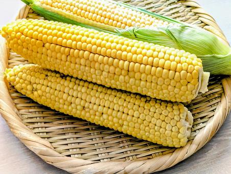 採れたての夏野菜(とうもろこし)6 採れたての夏野菜(とうもろこし)6 夏,夏野菜,とうもろこしの写真素材