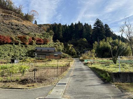 11月　秋の福井県坂井市山奥の景色 秋,ハイキング,山並みの写真素材