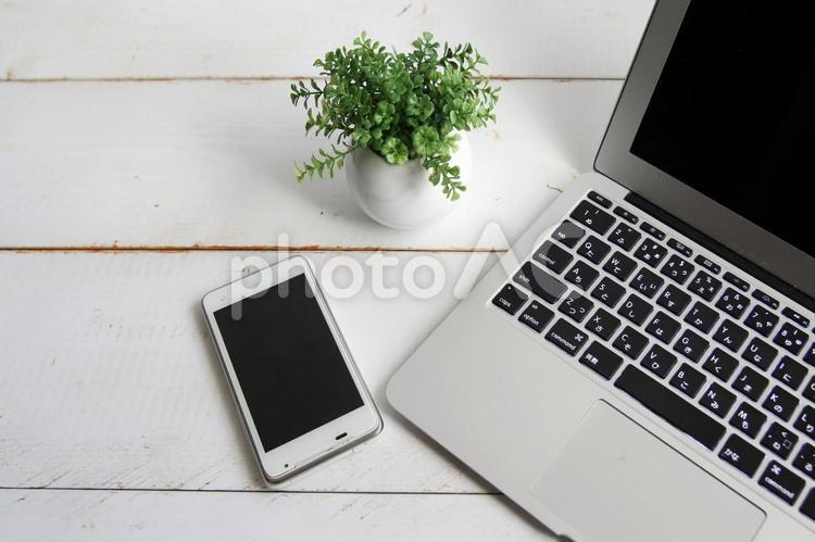 パソコンとスマホと観葉植物 パソコン,スマホ,携帯電話の写真素材