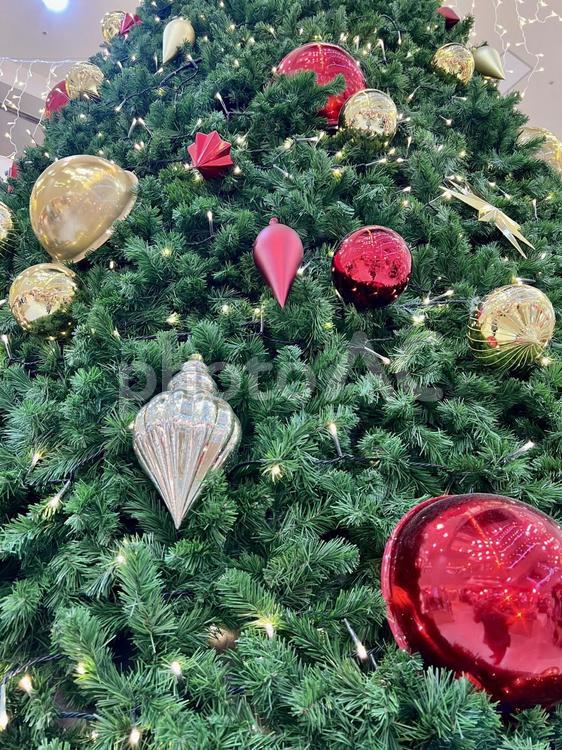 クリスマスツリーの飾り クリスマスツリー,飾り,冬の写真素材