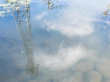 Photo, water surface, reflection, landscape, 