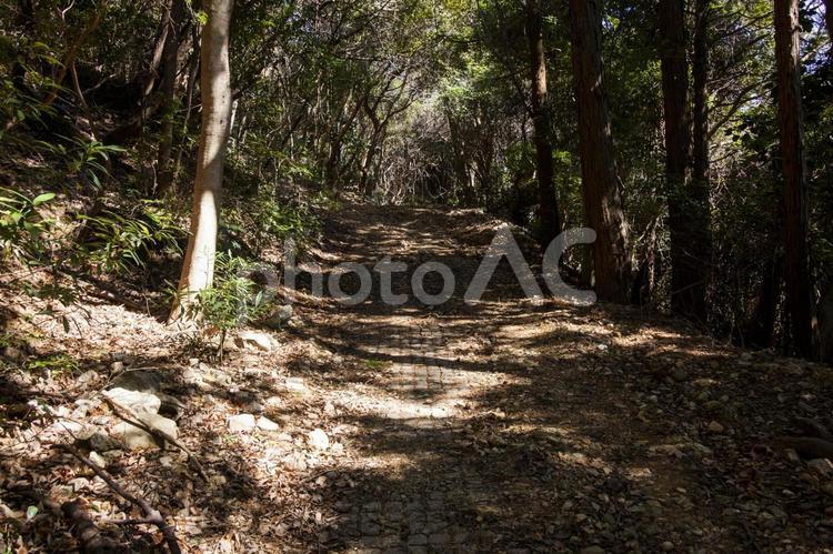 大山登山南2（田原市） 大山,南,トレッキングの写真素材