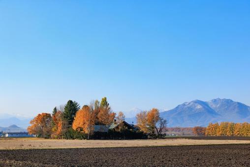 収穫期を終えた十勝平野 秋,風景,芽室町の写真素材