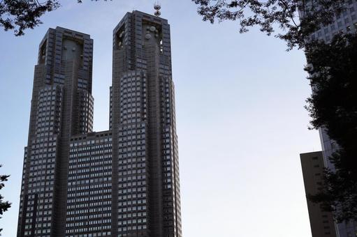 青空にそびえ立つ都庁舎 青空にそびえ立つ都庁舎 都庁,建物,高層ビルの写真素材