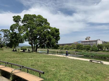 鴨川 鴨川の写真