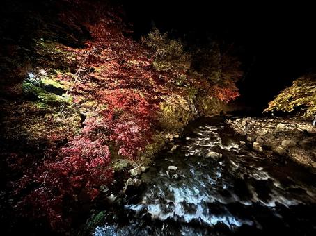 Autumn leaves at night, JPG