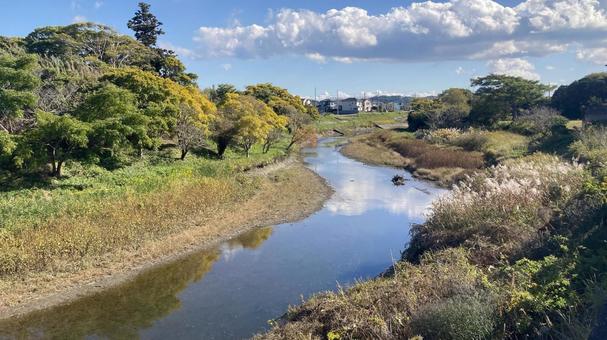 曲がりくねった川 自然,風景,景色の写真素材