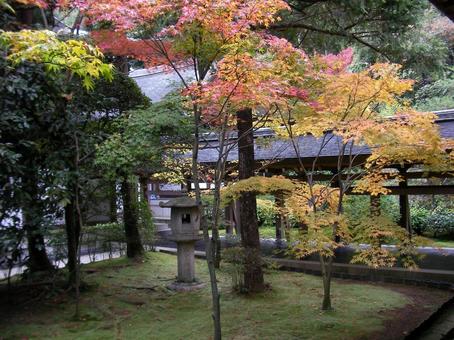 龍安寺 京都 龍安寺 京都 の写真