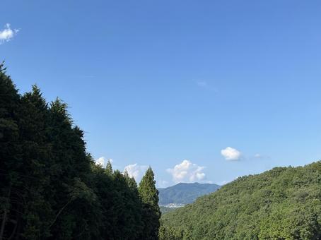 mountain forest-1 mountain forest-1 山,木,林の写真素材
