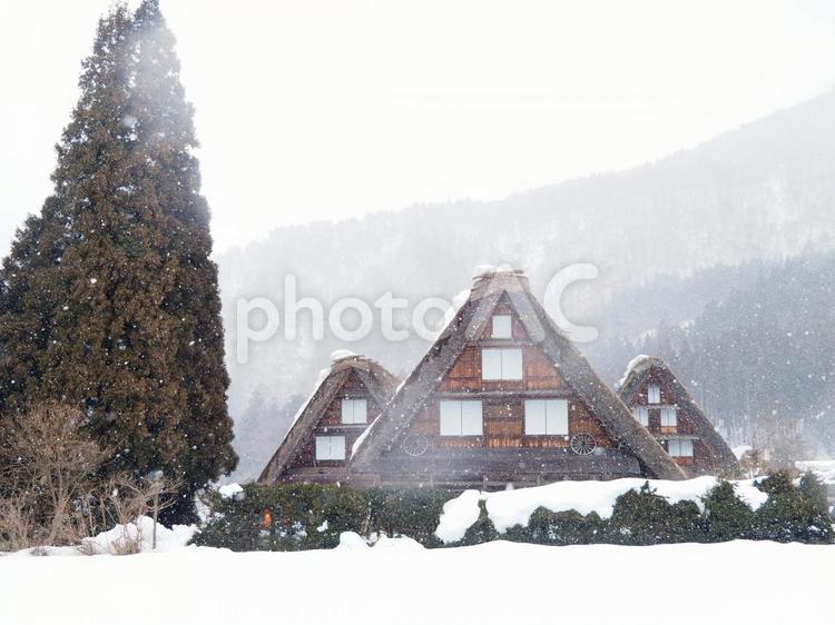 雪積もる　日本の風景 冬,雪国,大雪の写真素材