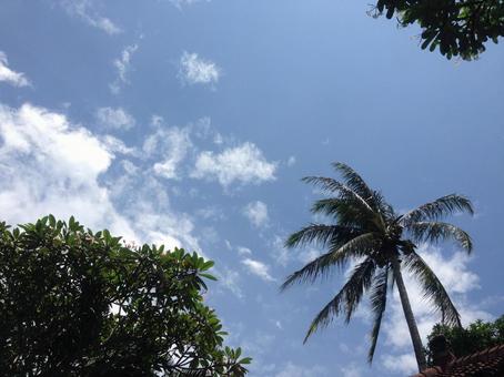 Photo, bali, sky, trip, 