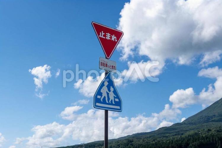 止まれの標識 道路標識,止まれ,標識の写真素材
