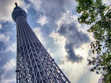 曇り日の東京スカイツリー-204 東京スカイツリー,曇り日,雲の写真素材