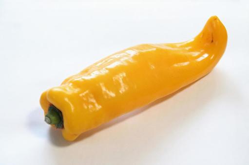 機能性表示食品のパプリカ「プリンセス」 機能性表示食品のパプリカ「プリンセス」 パプリカ,機能性表示食品,黄色の写真素材