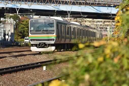 電車の走る風景 電車,jr東日本,東海道線の写真素材