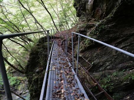 笊ヶ岳 登山道 傾いた橋 笊ヶ岳 登山道 傾いた橋の写真