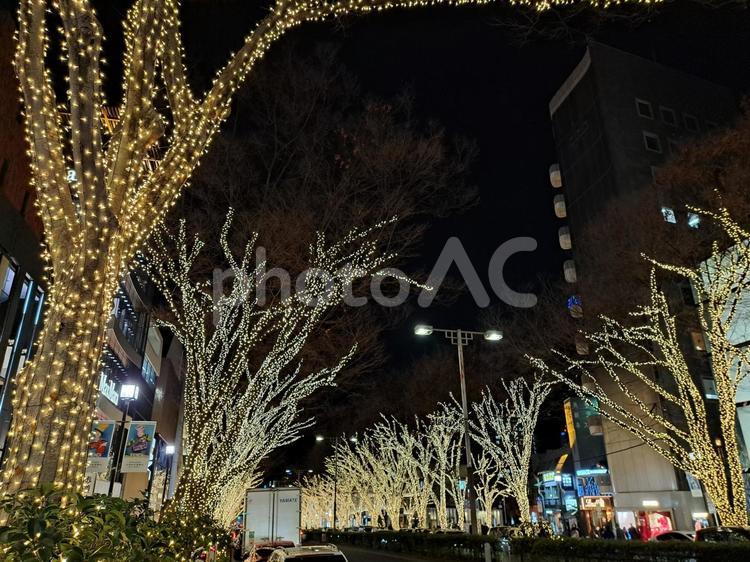 冬の東京　表参道のイルミネーション イルミネーション,夜景,クリスマスの写真素材