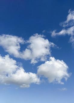 夏の青い透き通った空に浮かぶもくもく雲 夏の青い透き通った空に浮かぶもくもく雲の写真