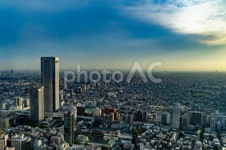 新宿から見た東京の風景 東京,東京都,都市の写真素材