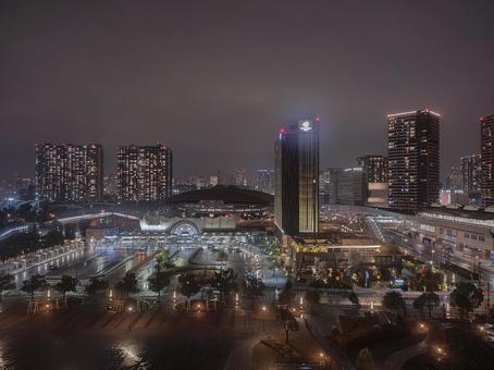 夜の国際展示場駅 夜の国際展示場駅の写真