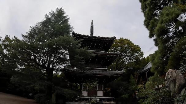 東京都港区高輪３丁目　東禅寺　三重塔 東禅寺,三重塔,山門の写真素材