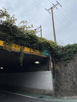 アンダーパス　秋の線路 アンダーパス,トンネル,地方の写真素材